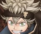 黑色四叶草:四方骑士