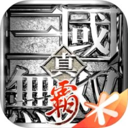 真・三国无双霸