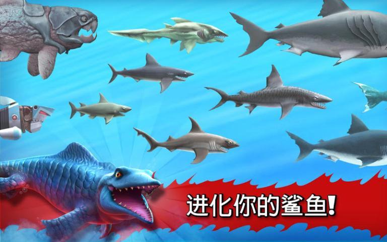 饥饿的鲨鱼:进化