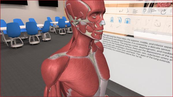 三维解剖工具VR