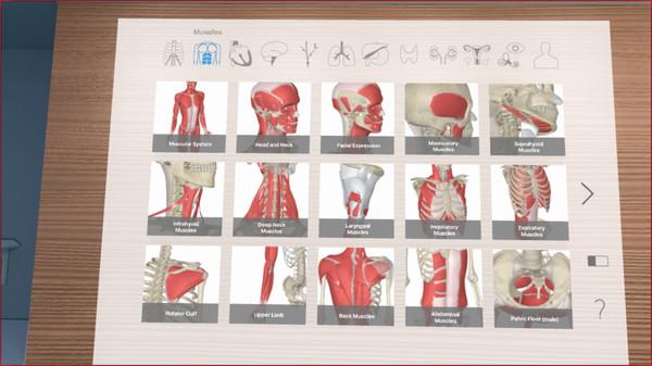 三维解剖工具VR