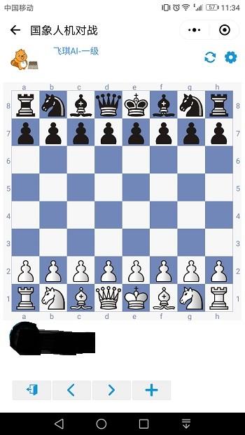 飞琪国际象棋