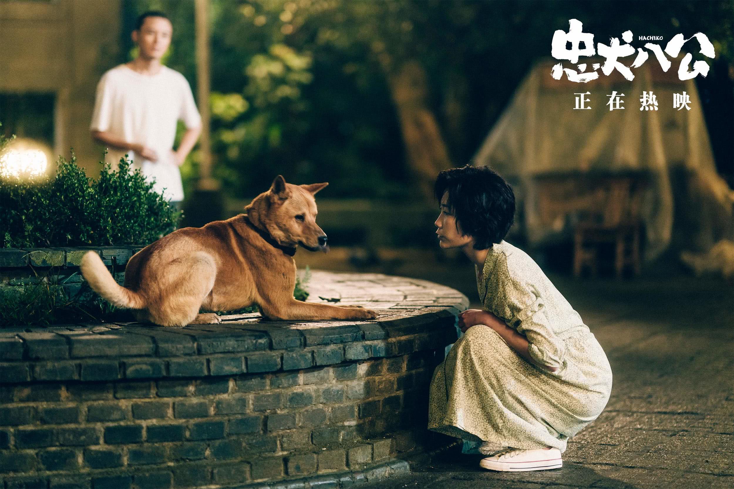 忠犬八公物语(Hachi-ko)-电影-腾讯视频